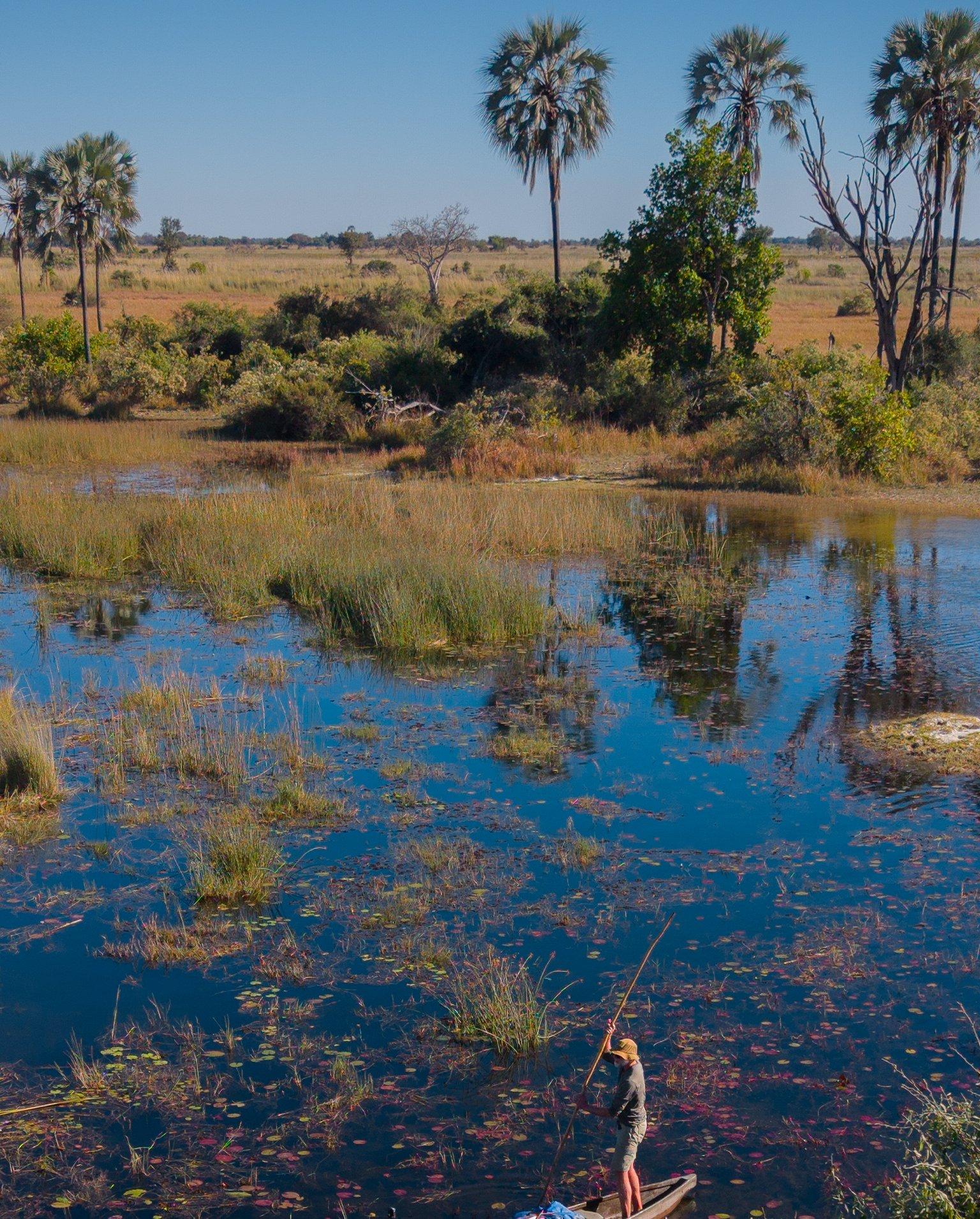 Okavango Eternal