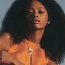 Portraits of Nature butterfly