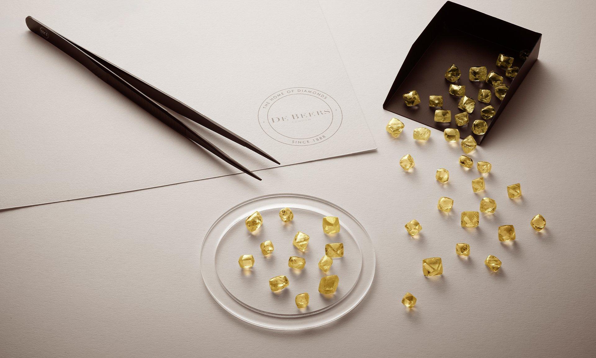 Yellow Lose Diamonds