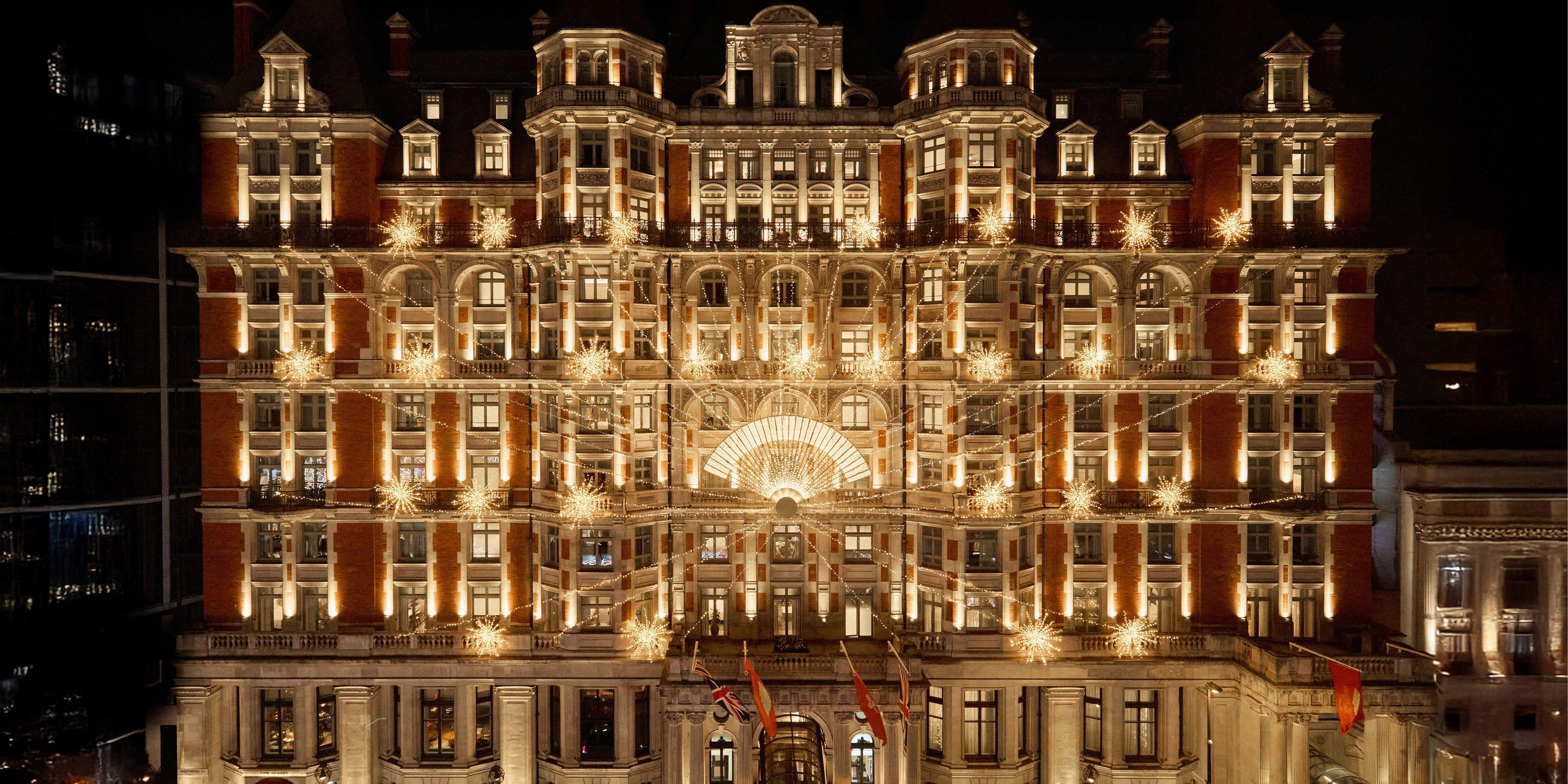 Baobab Magnitude Necklace