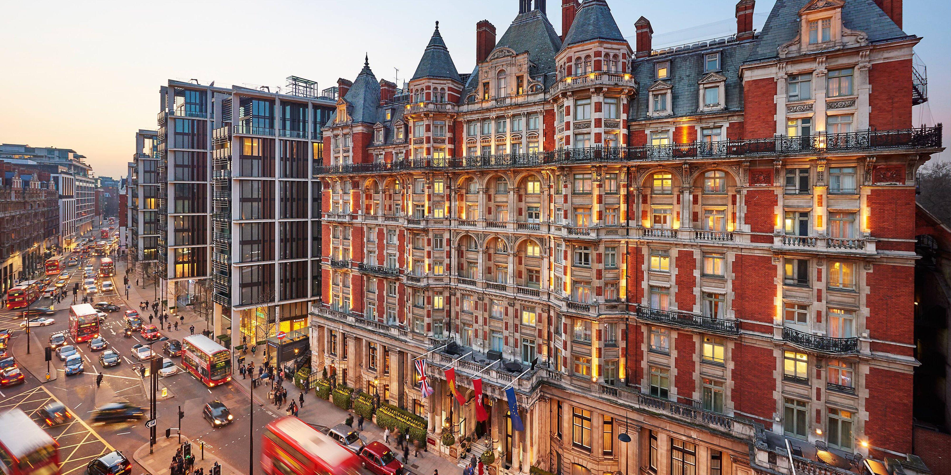 Baobab Magnitude Necklace