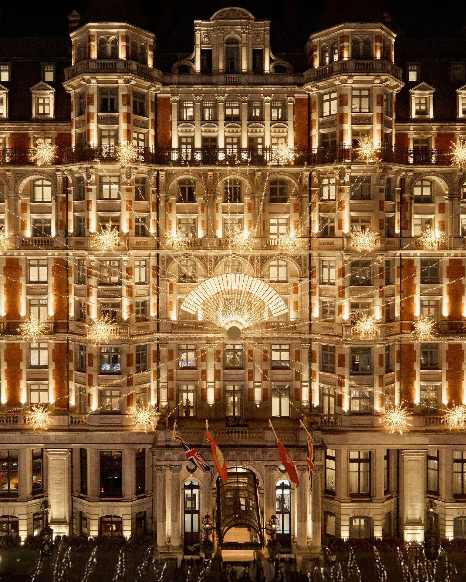 Baobab Magnitude Necklace