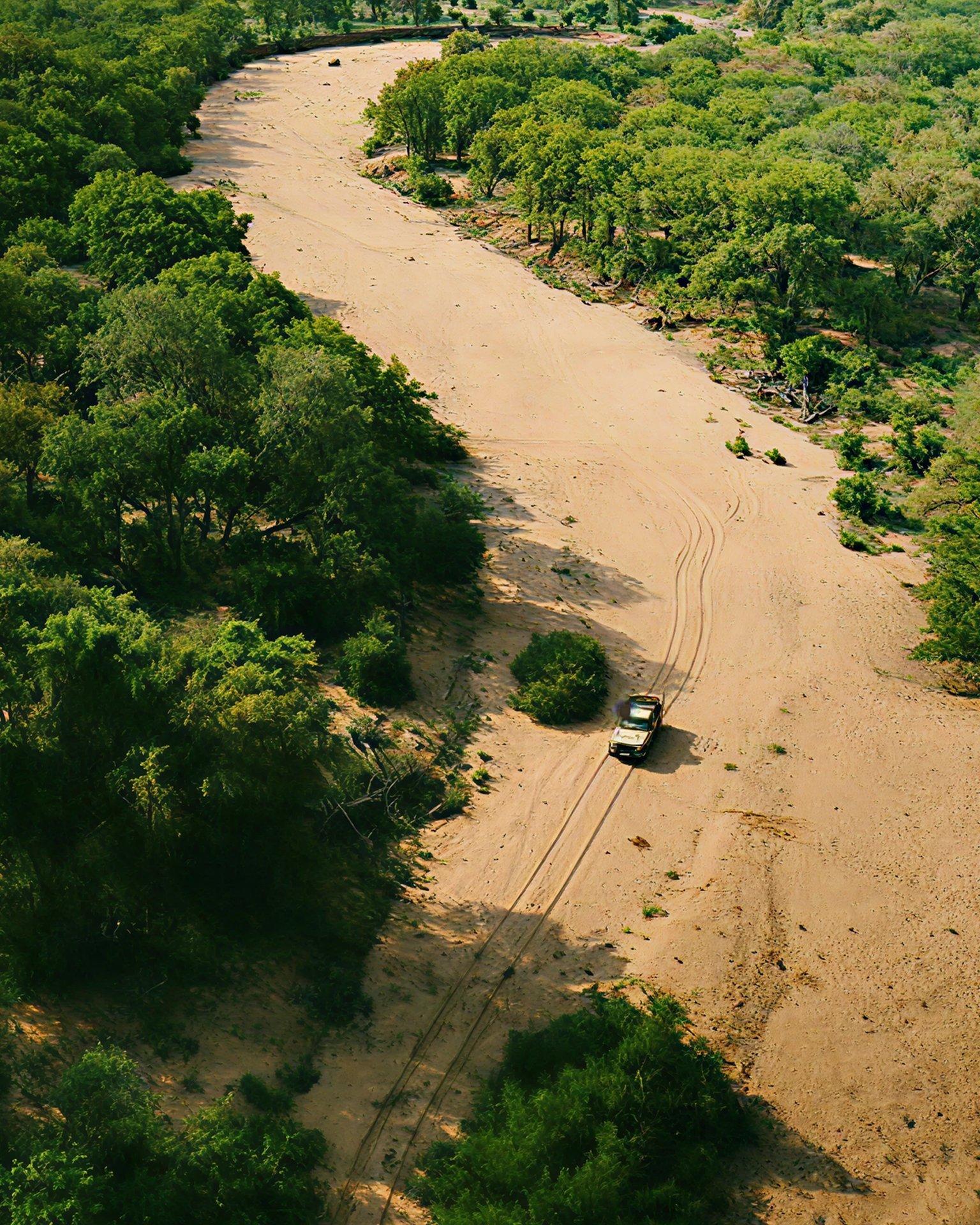 Baobab Magnitude Necklace