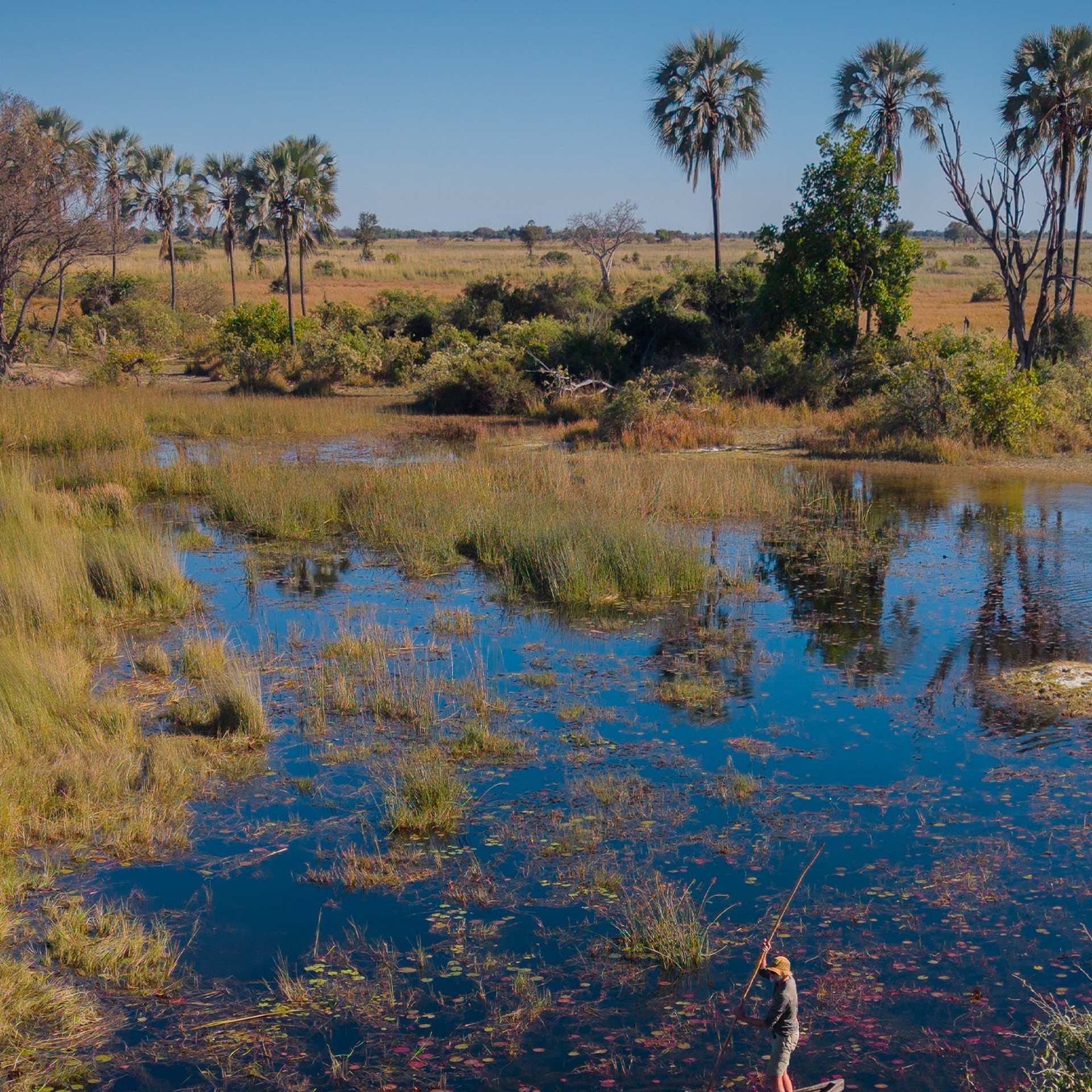Official image for De Beers and National Geographic continue Okavango Eternal conservation partnership