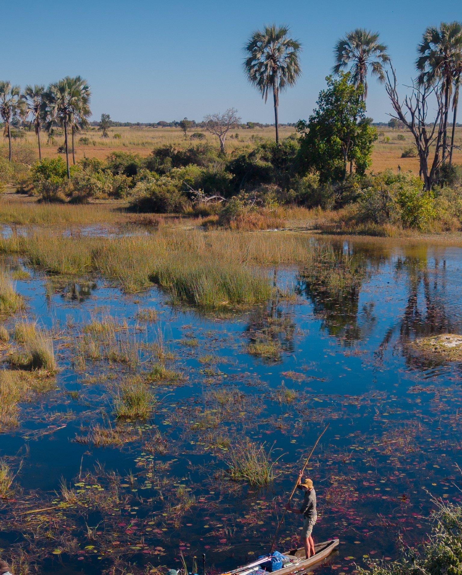Okavango Eternal