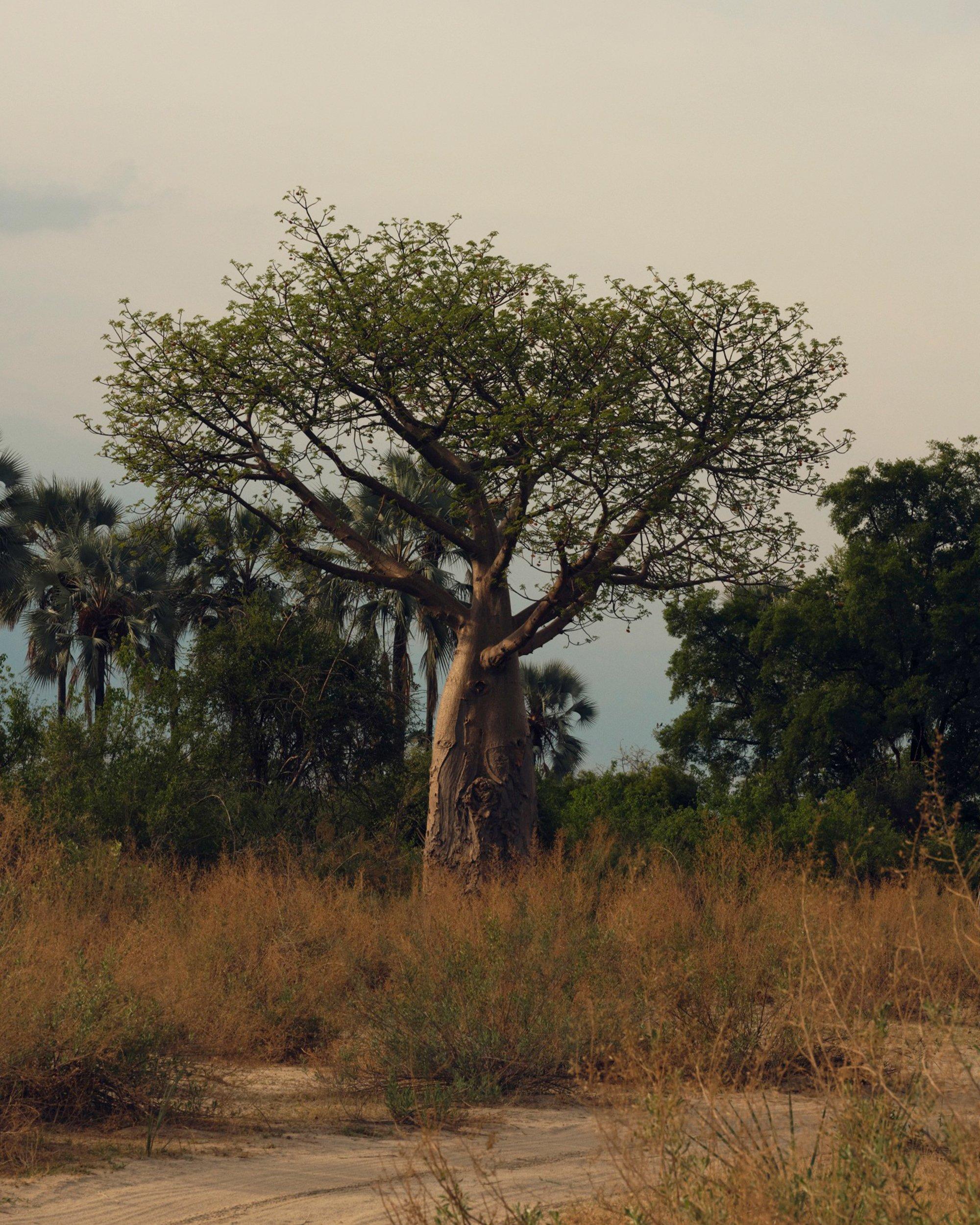 DE BEERS 負責任采購