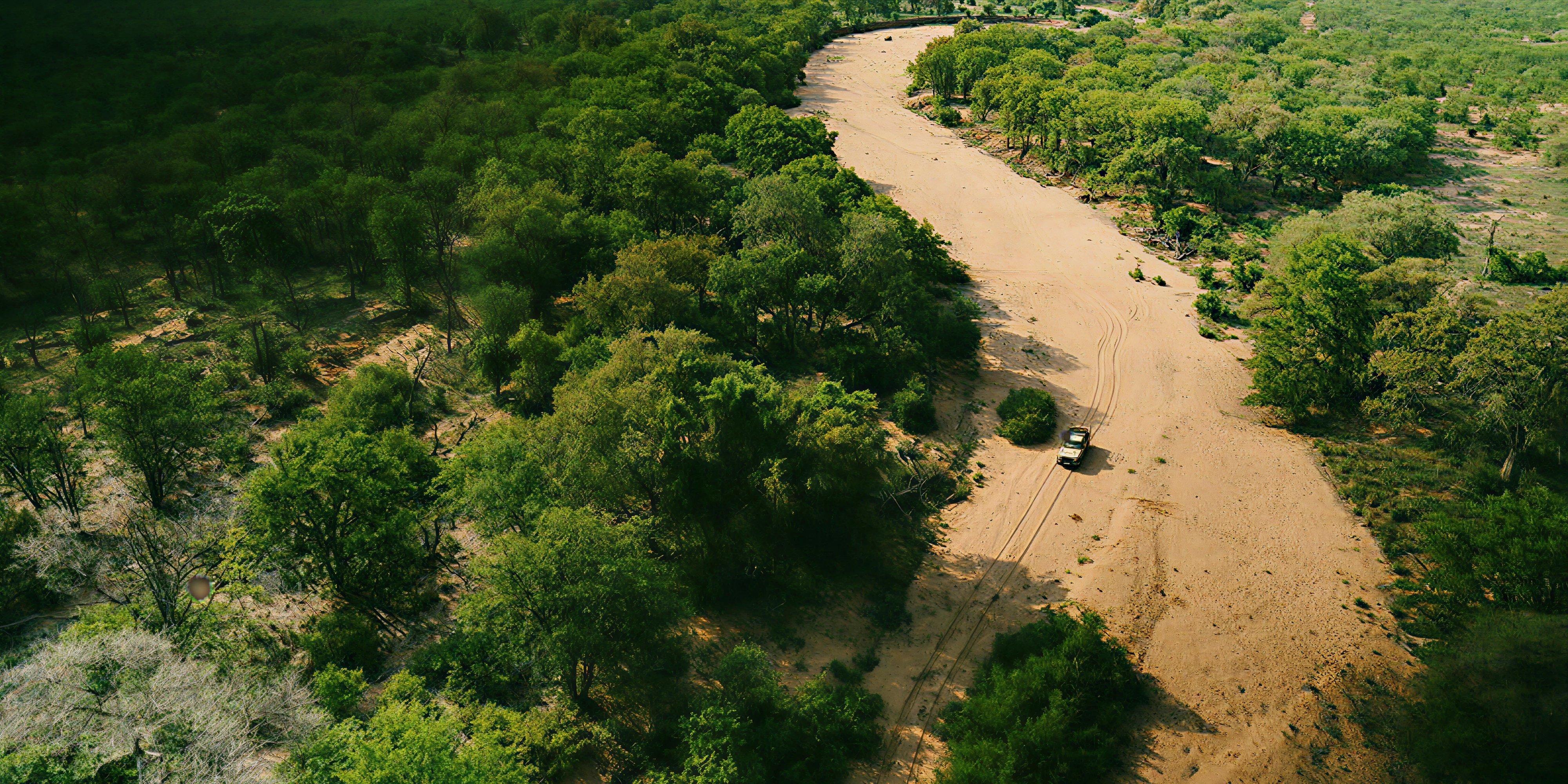 Baobab Magnitude Necklace